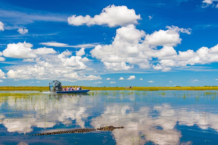 Airboat Rides