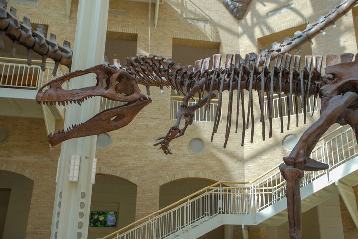 Musée d'histoire naturelle de Fernbank