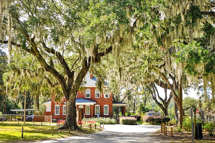 16 atracciones turísticas mejor valoradas en Savannah