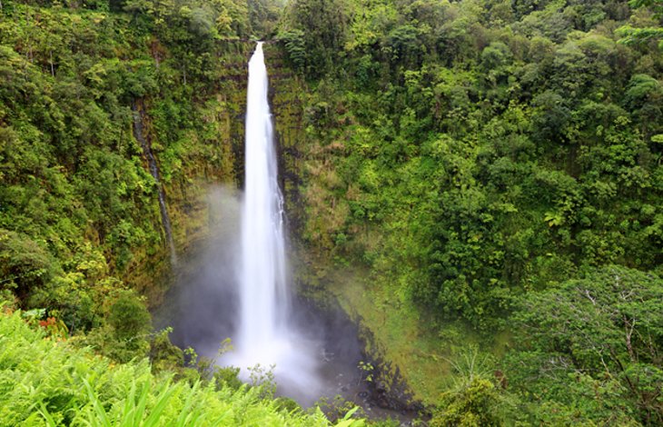 Parc d'État d'Akaka Falls et chutes de Kahuna