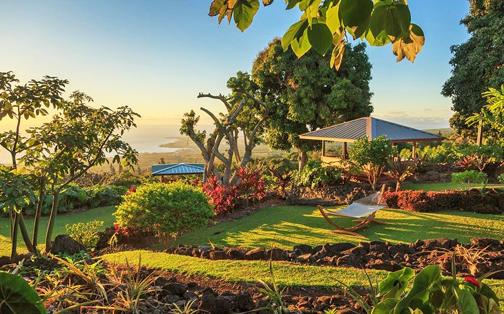 Photo Source: Holualoa Inn
