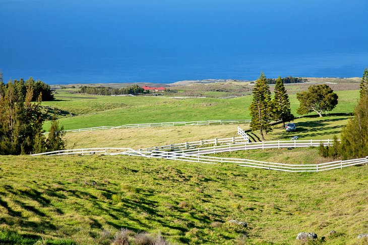 Parker Ranch (côte de Kona)