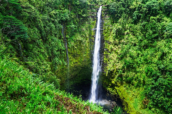 15 atracciones turísticas mejor valoradas en Hawái