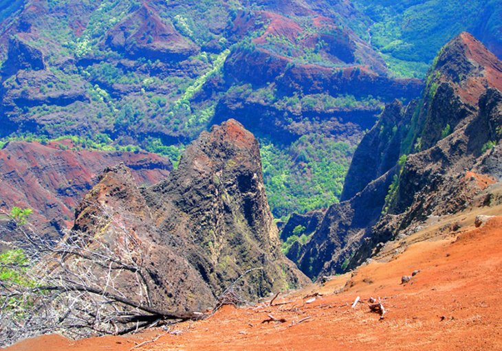 Parc d'État de Koke'e
