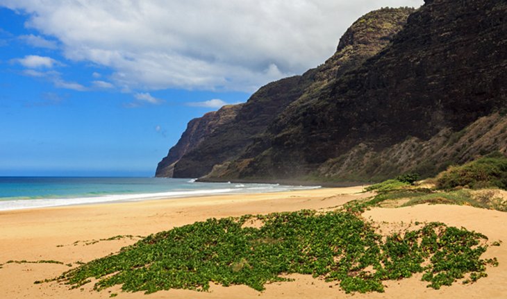 Polihale State Park