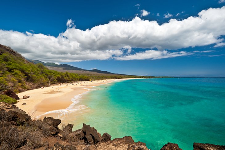 Top-Rated Tourist Attractions & Things to Do in Maui | PlanetWare