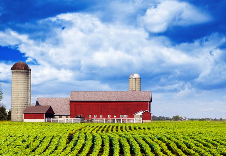 Farm in Iowa