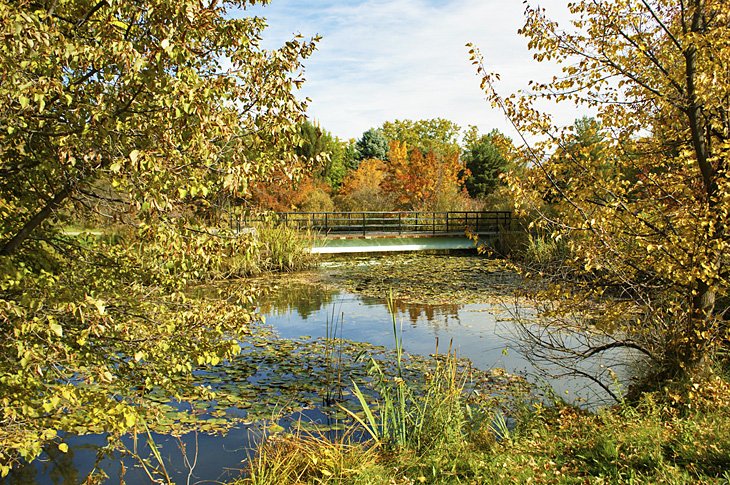 Parc Kathryn Albertson