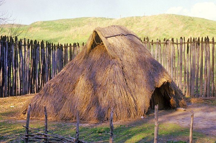 Cahokia Mounds State Historic Site