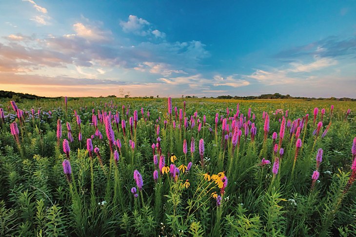 Springbrook Prairie Nature Preserve