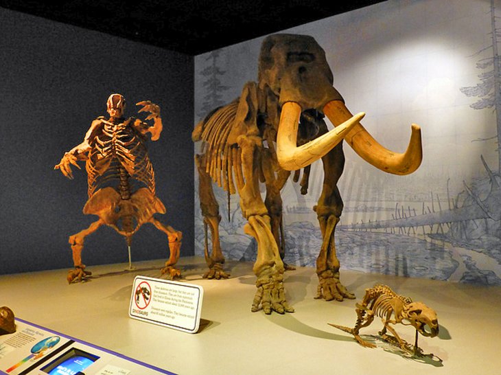 Illinois State Museum