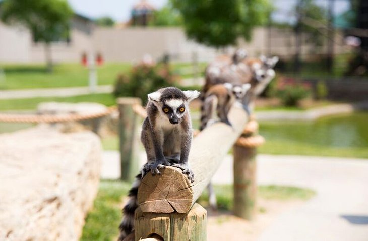 Tanganyika Wildlife Park