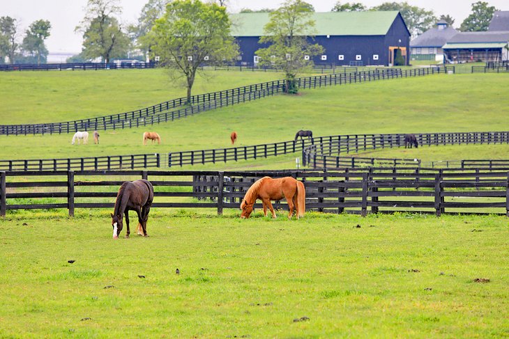 15 atracciones turísticas mejor valoradas en Kentucky