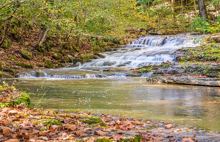 Raven Run Nature Sanctuary