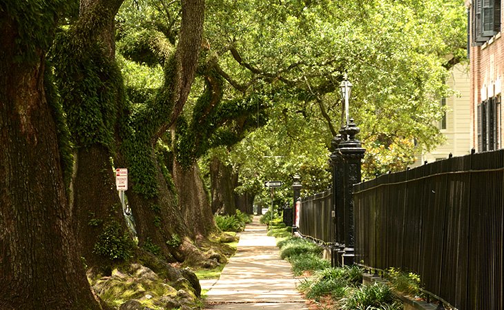 Rue Saint-Charles dans le centre-ville