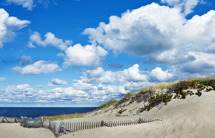 30 Best Things to Do on a Rainy Day on Cape Cod