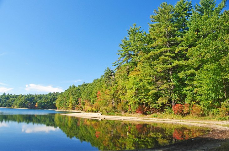 Walden Pond