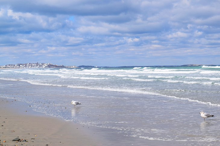 nantasket beach run