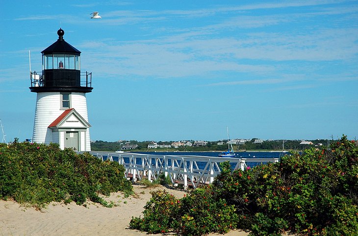 Cape Cod