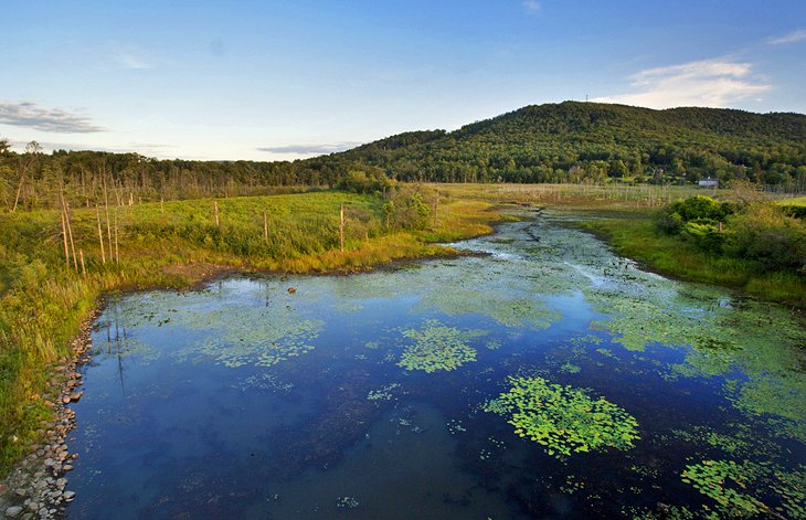 Blue Hills Reservation