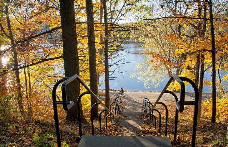 Emerald Necklace