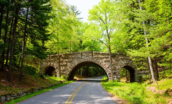 Park Loop Road