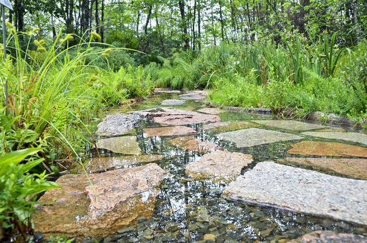 Parque Nacional Acadia: 16 caminatas y cosas principales para hacer Parque Nacional Acadia: 16 caminatas y cosas principales para hacer