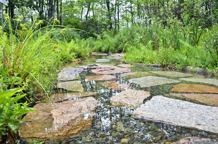 Parque Nacional Acadia: 16 caminatas y cosas principales para hacer