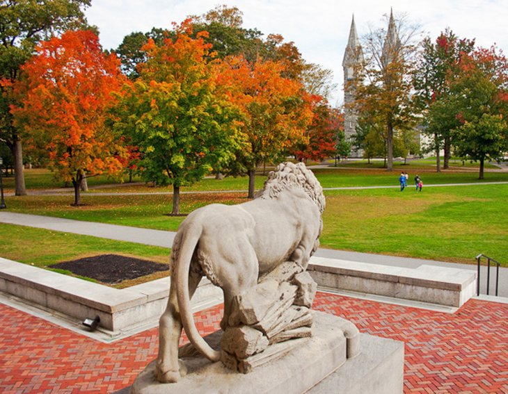 Bowdoin College Museum of Art