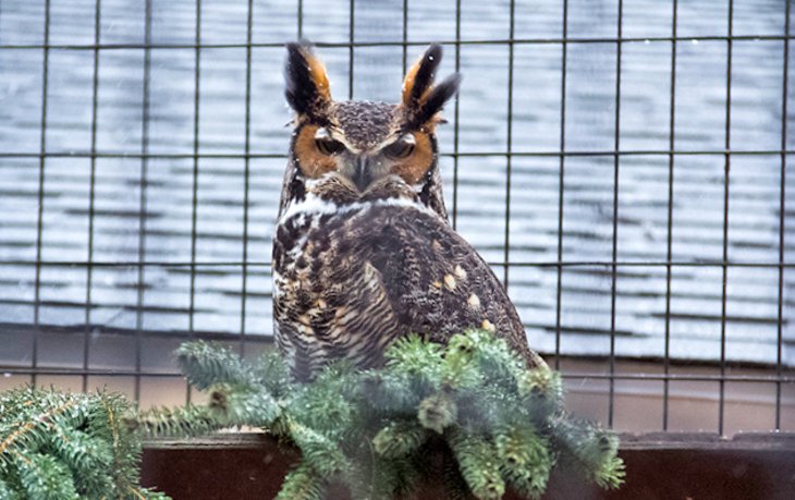 Blandford Nature Center