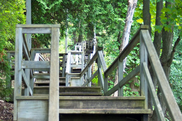 Escalier du sentier à travers la forêt de l'île Mackinac