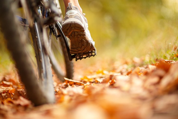 Mountain biking in late summer