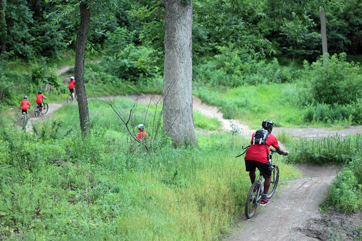 9 senderos para bicicletas de montaña mejor calificados en Minnesota