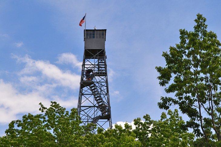 Forest History Center