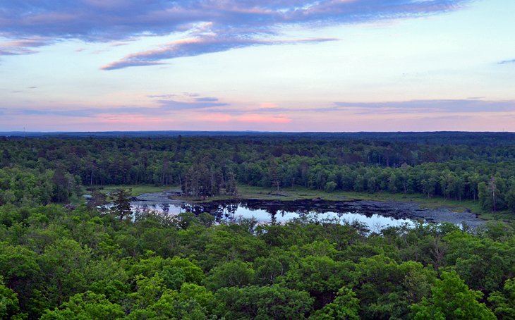 The view atop the Aiton Heights Fire Tower just off the Ozawindib Trail