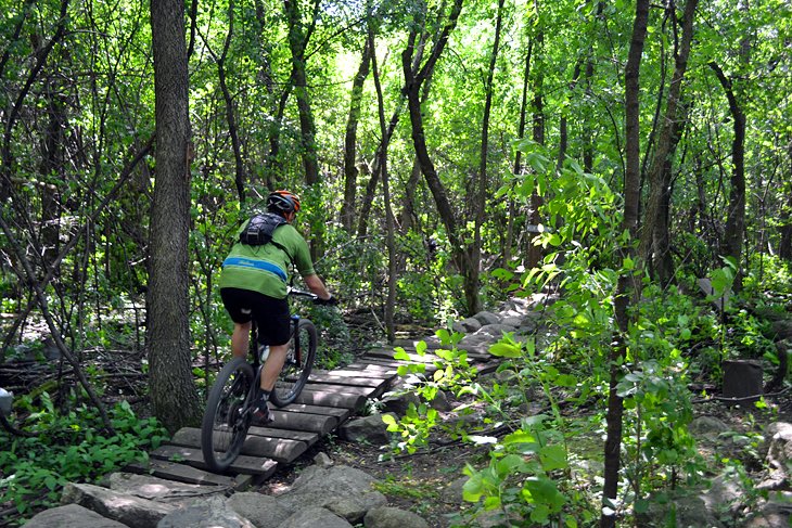 Elm Creek Park Reserve