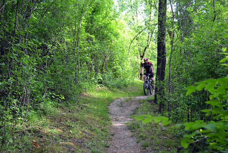 9 senderos para bicicletas de montaña mejor calificados en Minnesota