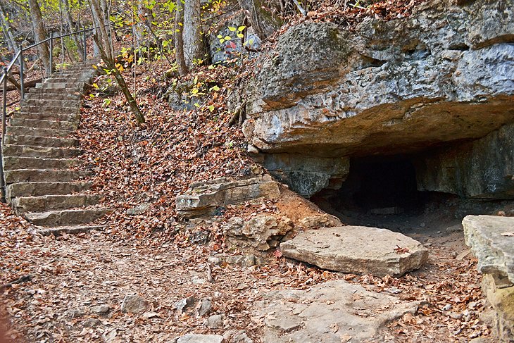 Lakeside Forest Wilderness Area