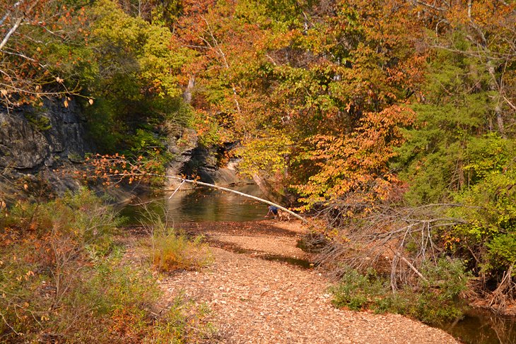 Grindstone Nature Area