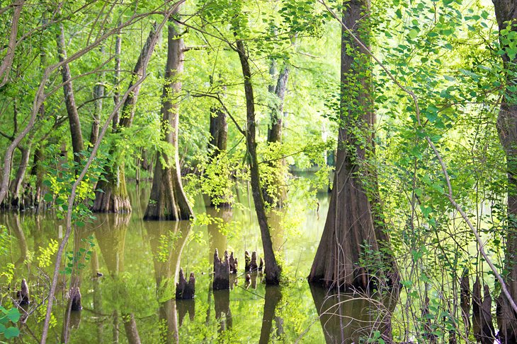 LeFleur's Bluff State Park