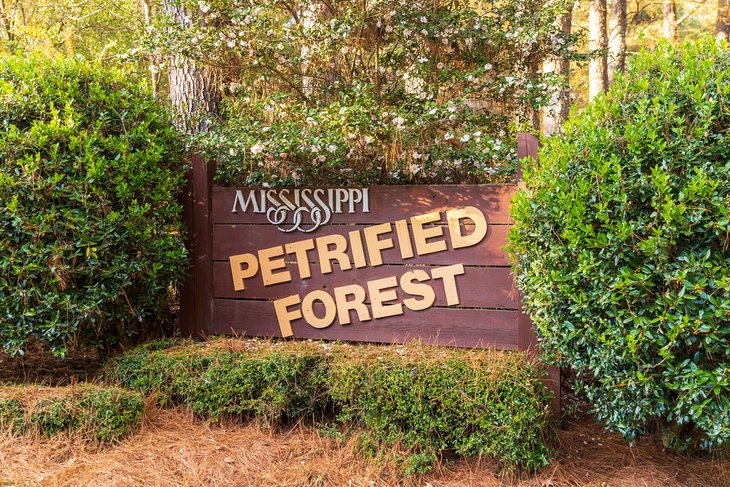 14 atracciones y cosas para hacer mejor valoradas en Mississippi 14 atracciones y cosas para hacer mejor valoradas en Mississippi