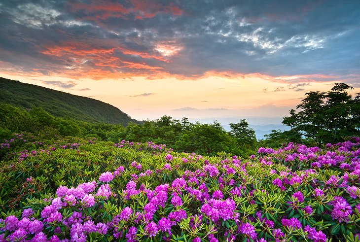 Blue Ridge Parkway