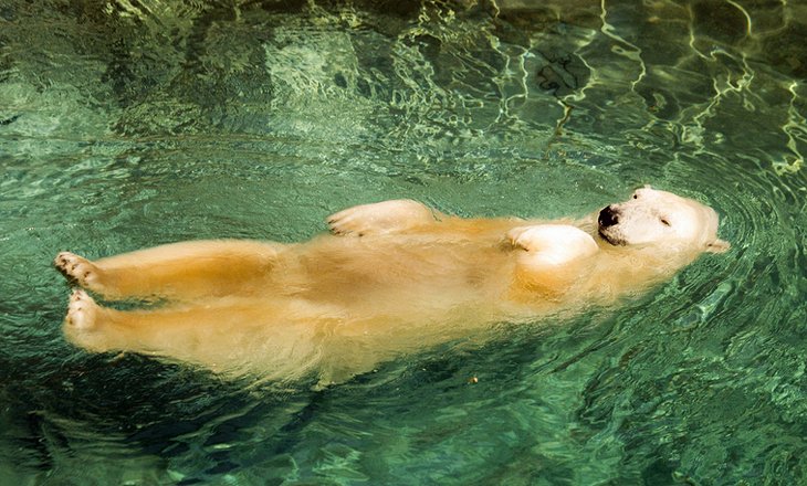 Omaha's Henry Doorly Zoo and Aquarium