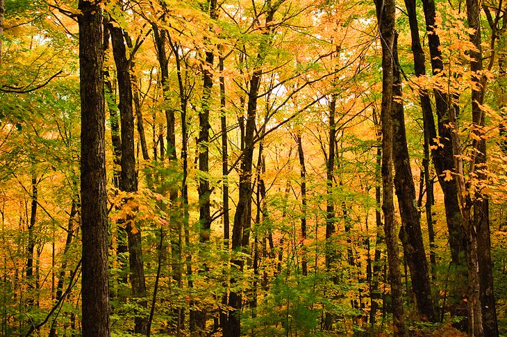 11 rutas de senderismo mejor valoradas en New Hampshire