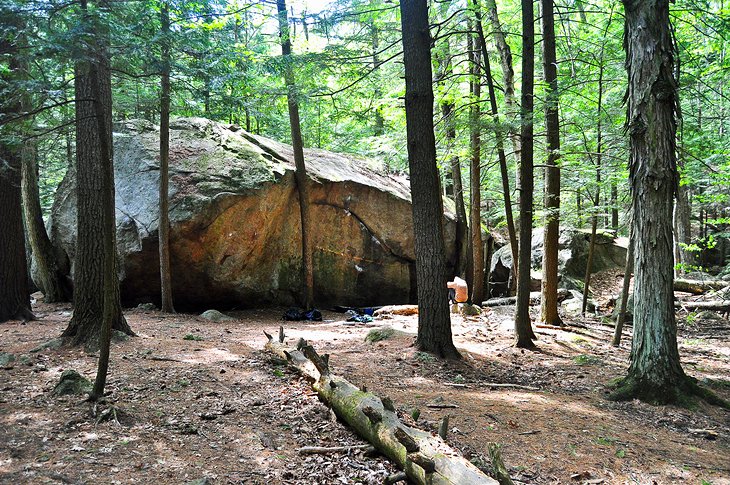 Pawtuckaway Boulder Trail