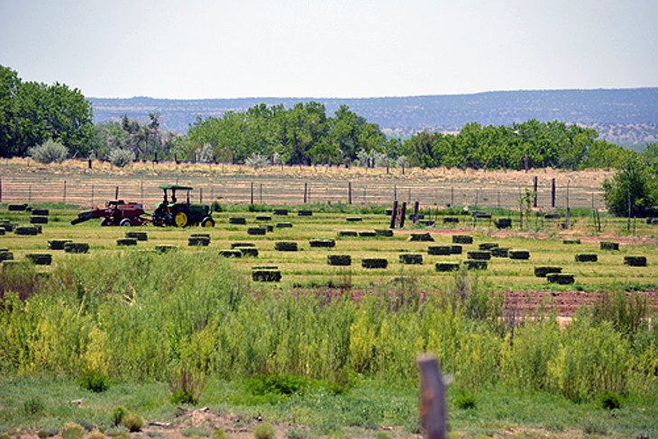 Kewa Pueblo, New Mexico