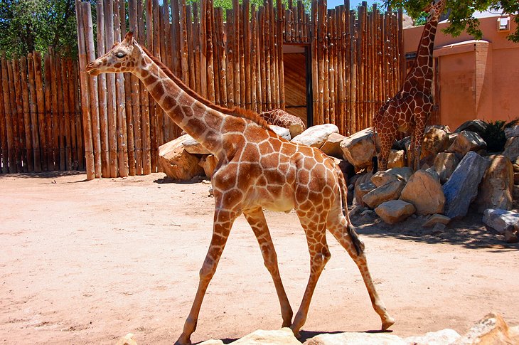 Albuquerque Biological Park