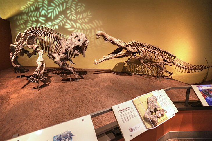 New Mexico Museum of Natural History and Science