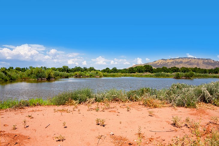 Rio Grande Nature Center State Park