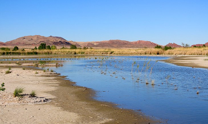 Clark County Wetlands Park Nature Preserve